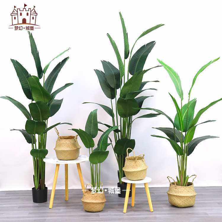 仿真植物室内装饰道具摆件天堂鸟橱窗景观绿植植物盆栽仿真旅人蕉