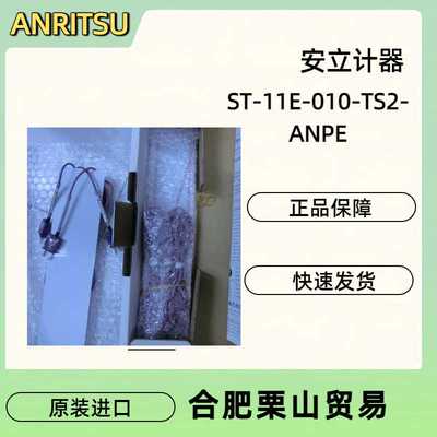 ANRITSU安立计器ST-11E-010-TS2-ANPE型热电偶