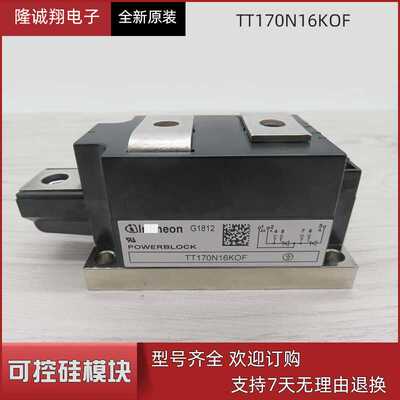 现货供应可控硅模块TT170N16KOF型号 现货直销