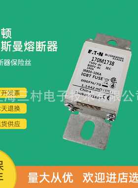 全新原装快速熔断器保险丝170M1730 170M1731 170M1732 170M1733