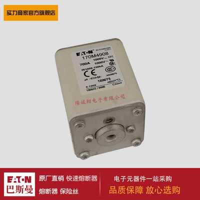熔断器170M3975 170M4965 170M4966 170M4967 170M4968 170M4969