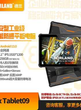德兰厂家20000mAh石油化工Android13 Ex Tablet09 防爆平板电脑