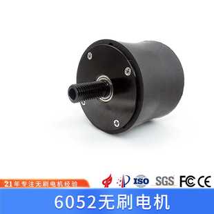 网球抛球机无刷直流电机 手球抛球器专用电机 6052