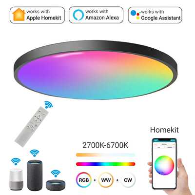 HomeKit吸顶灯智能WifiAPP扫码直连远程Alexa语音控制定时开关24W