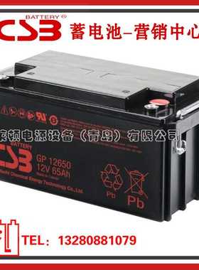 CSB蓄电池GP12650/12V65AH工业机房直流屏UPS电源电池
