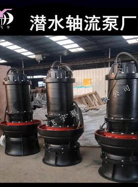 500QZB-125井筒式雪橇式轴流泵QZ潜水轴流泵QZBQHB潜水混流泵