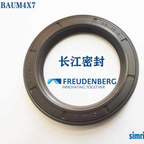 德国CFW原装氟胶SIMRIT骨架油封  BAUMX7 30-47-7 60-80-10