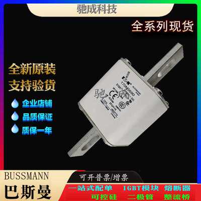 巴斯曼170M5690 170M5691 170M5692 厂价供应优价供应 原装熔断器
