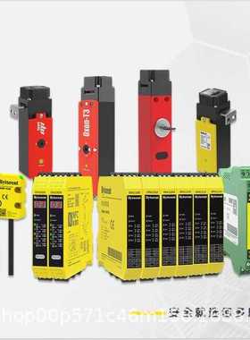 佰多恩多功能安全继电器 DNSE22S-7.5 DNSLP31S DNSLN31S DNSC31S