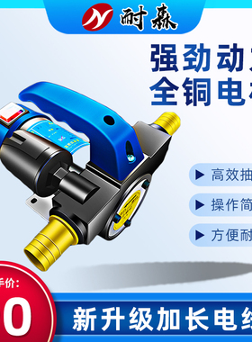 抽油泵电动柴油g12v24v220v伏油抽子加油神器抽油机大功率正反自