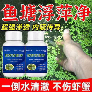 浮萍净克星杀浮萍一喷净不伤小龙虾蟹塘除浮萍鱼药消灭速净青苔净