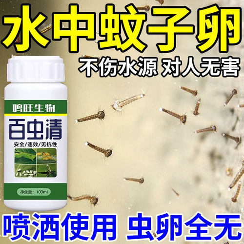 除蚊子幼虫杀虫家用水培植物灭蚊幼卵水中灭孑孓幼虫卵无毒