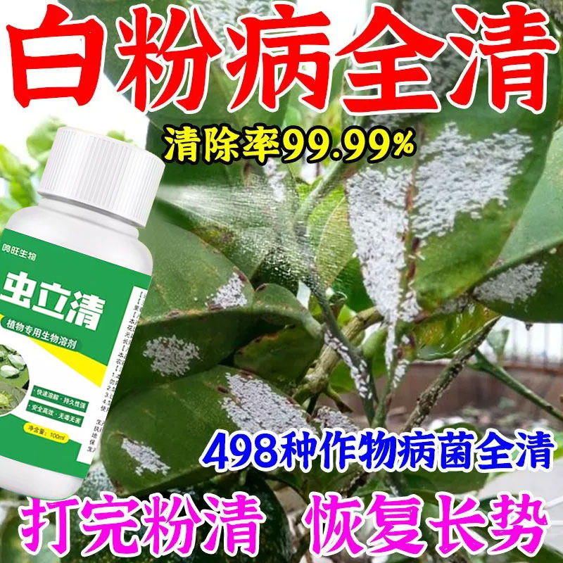【正品】白粉病专用杀菌花卉植物通用月季白粉病黑斑病锈病除菌灵图片