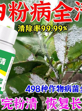 【正品】白粉病专用杀菌花卉植物通用月季白粉病黑斑病锈病除菌灵