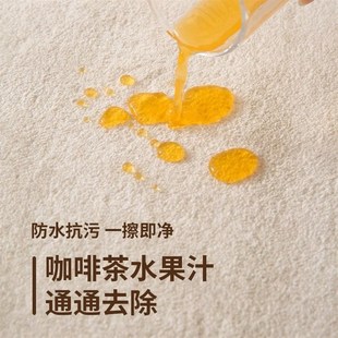 家用地 地毯客厅轻奢高级卧室奶油风免洗可擦D沙发茶几毯2024新款