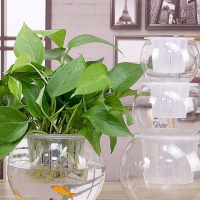 创意水培瓶植物透明玻璃花瓶容器绿萝花盆鱼花共养缸水养摆件器皿