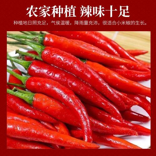 现摘现发新鲜特辣小米辣椒鲜椒辣鲜椒红辣椒朝天椒指天椒超辣泡椒