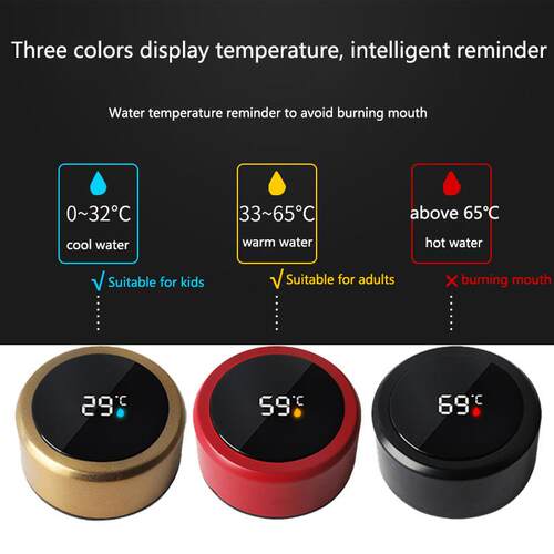 smart digital water bottle keeps cold and heat thermal bottl
