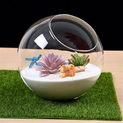 Micro Landscape Clear Glass Ball Vase Succulent Plant
