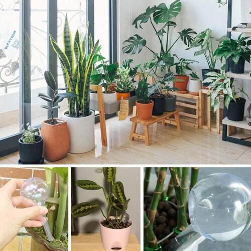 5pcs Automatic Plant Water Feeder Self Watering Plastic Ball