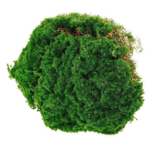 20cmx20cm Artificial Moss Turf Fake Grass Carpet