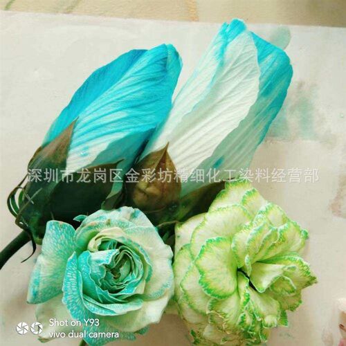 Colorful Flower Dye Absorbing Rose Midnight Blue Culture
