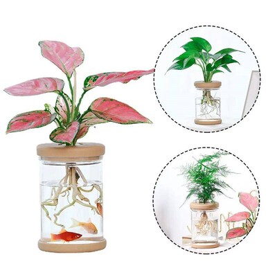 Transparent Hydroponic Vase Plastic Vase Simple Style Plant