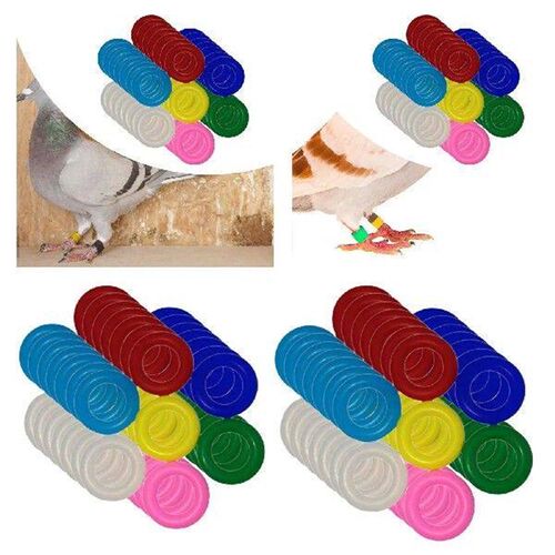100 Pieces Bird Foot Rings Recognition Ring for Parrots