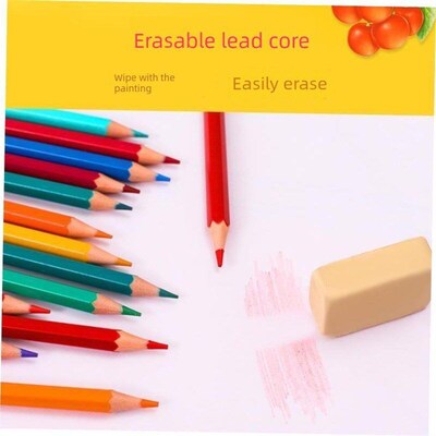 colour pencil painting students use 48 colour pencils with a