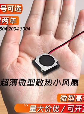 静音微型2006 3010 2CM 3CM 4CM 12V 5V USB鼓风机 涡轮散热风扇
