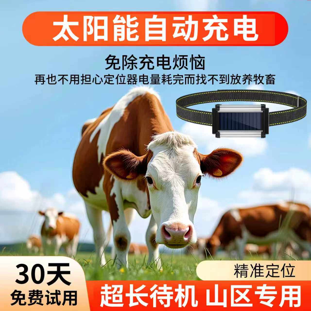 牛羊定位器山区放牧专用gps卫星追踪神器订位马动物防水防丢器j