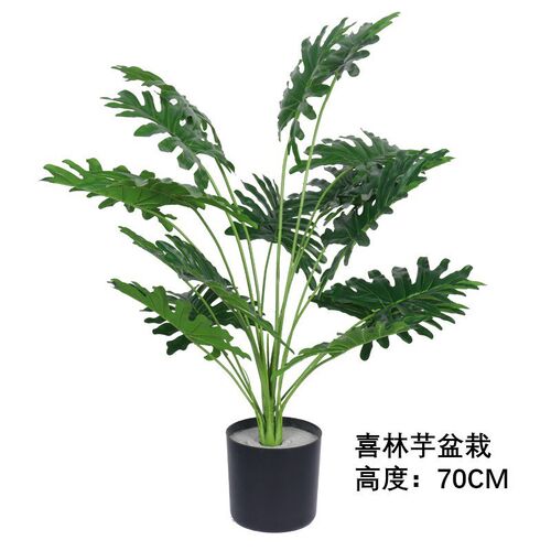 跨境仿真绿植蒲葵散尾葵喜林芋盆栽家居桌面装饰摆件仿生植物造景