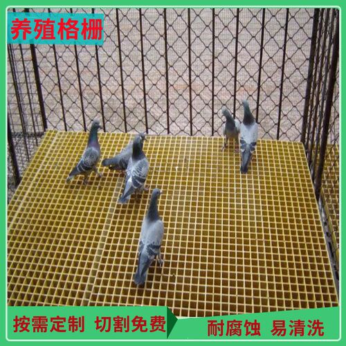 鸽舍地网养殖格栅 污水盖板玻璃钢格栅排水格栅养殖场排污网格