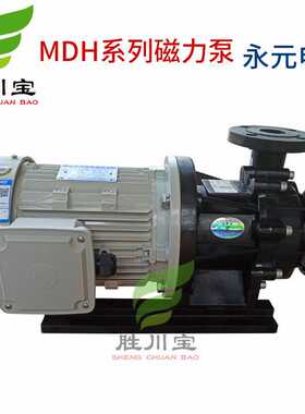 胜川宝磁力泵MDH-555/3.75KW永元电机磁力驱动循环过滤泵离心泵