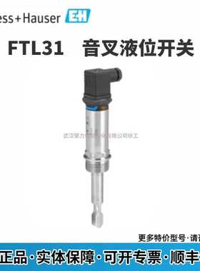 FTL31-1395/0 FTL31-AA4M3AAWBJ 德国E+H 音叉液位开关 现货