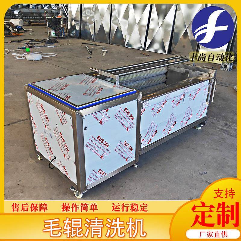 高压喷淋毛辊叶类蔬菜去毛发清洗机平行式土豆毛辊去皮清洗机