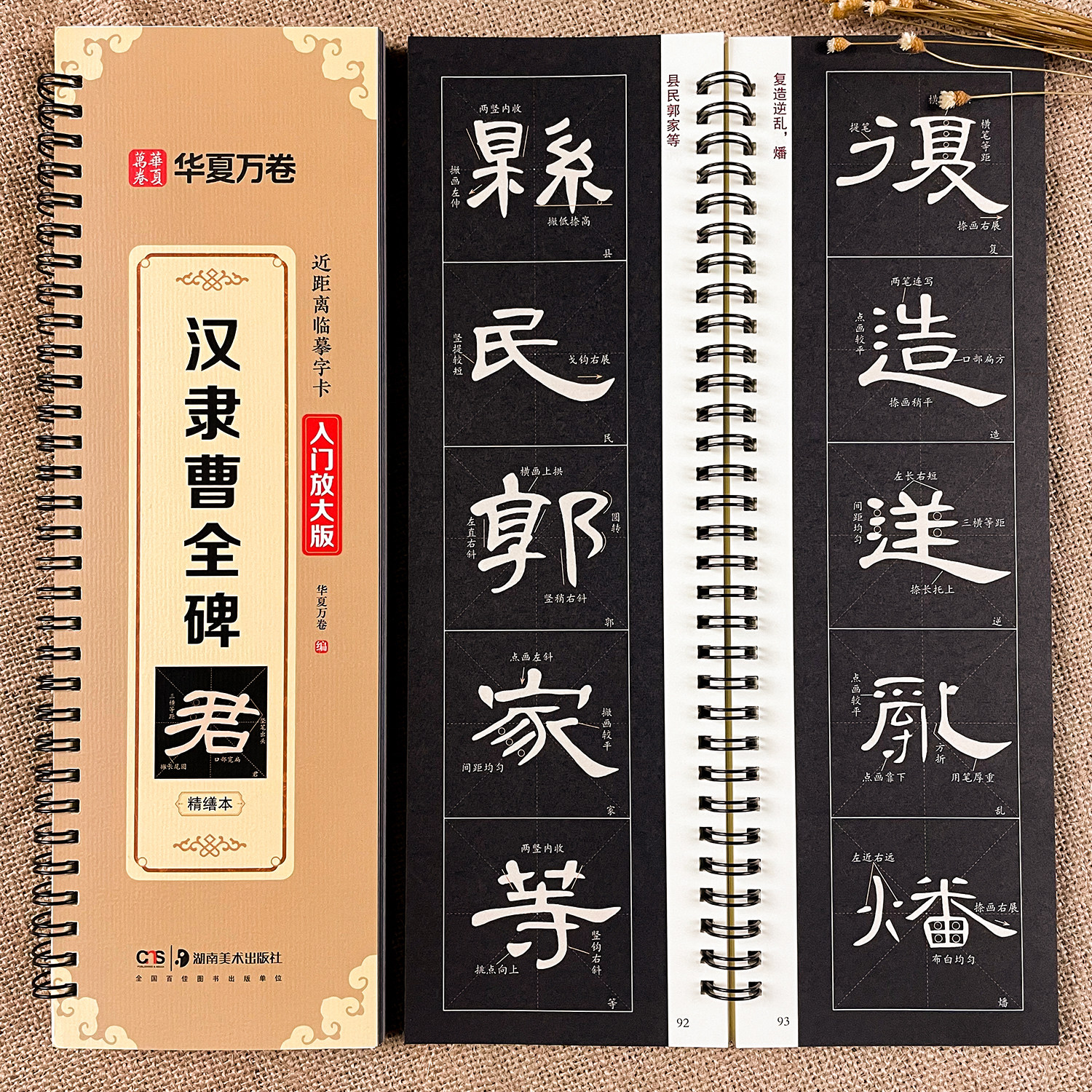 汉隶曹全碑近距离临摹字卡入门放大版全文米字格高清放大版扫码看视频教学成人初学者汉隶隶书入门毛笔临摹书法字帖,书籍/杂志/报纸,书法/篆刻/字帖书籍,淘宝优惠券,粉丝福利购,淘宝优惠卷