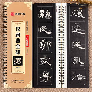 汉隶曹全碑近距离临摹字卡入门放大版全文米字格高清放大版扫码看视频教学成人初学者汉隶隶书入门毛笔临摹书法字帖