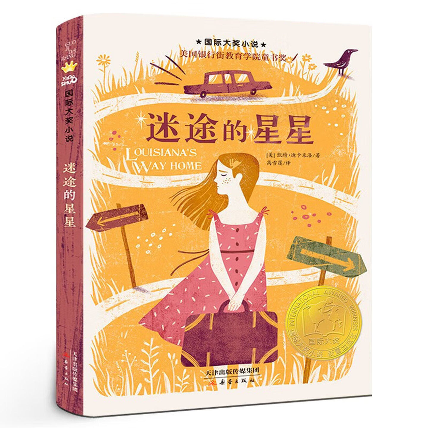 迷途的星星 国际大奖小说 美国银行街教育学院童书奖 儿童文学图画故事书 老师推荐中小学生寒暑假课外阅读书籍