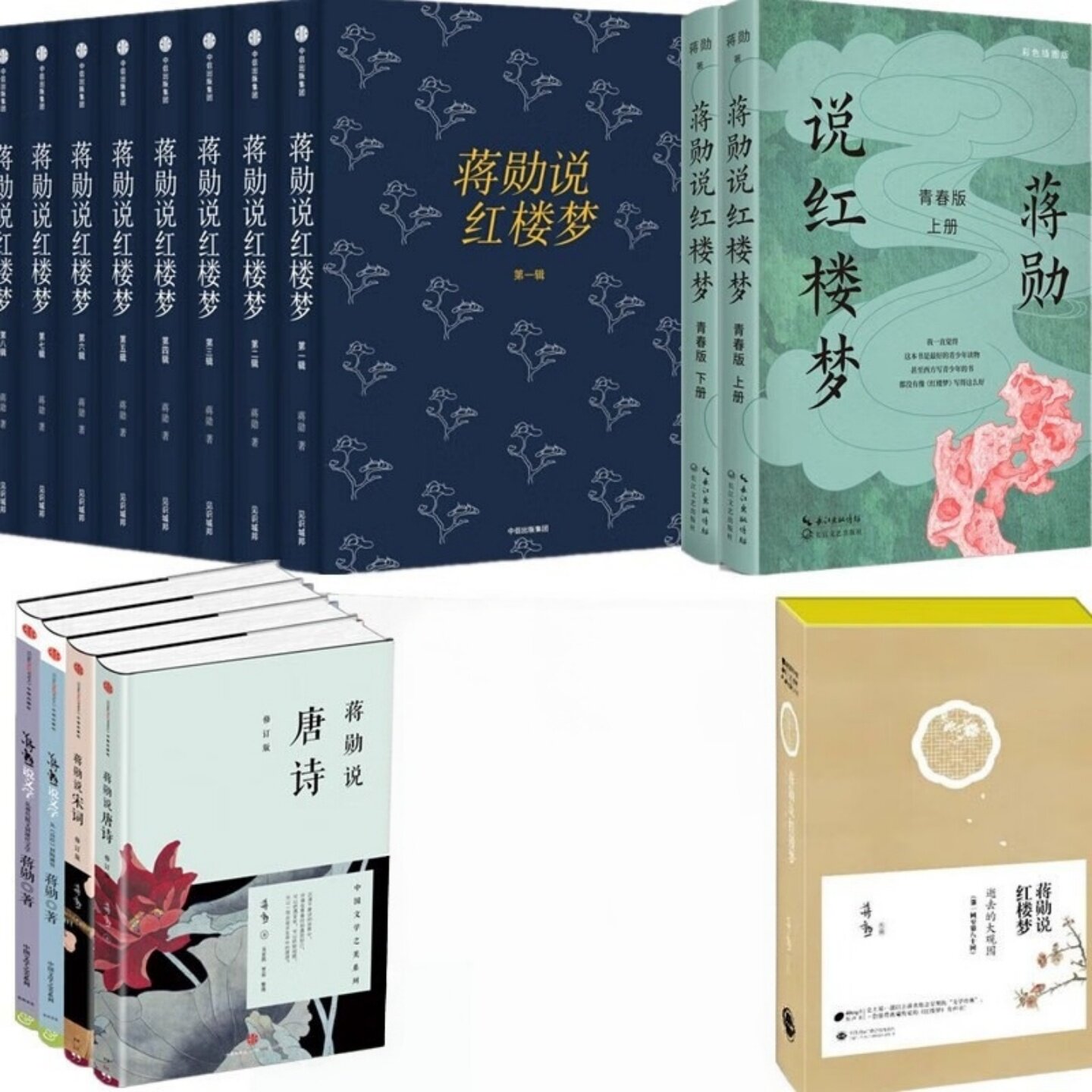 蒋勋系列文学作品集传统文化书籍