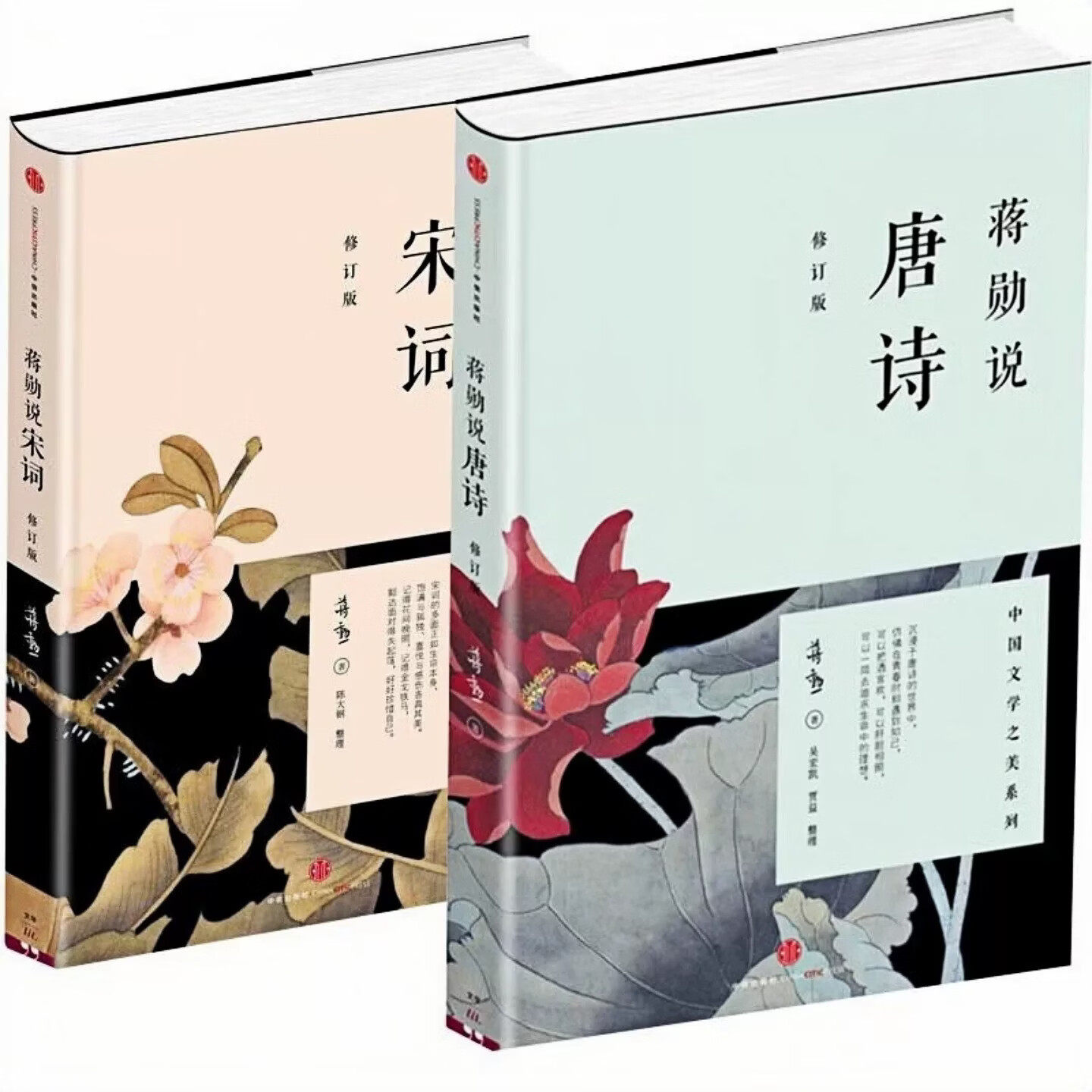 蒋勋说唐诗宋词古诗词文化图书