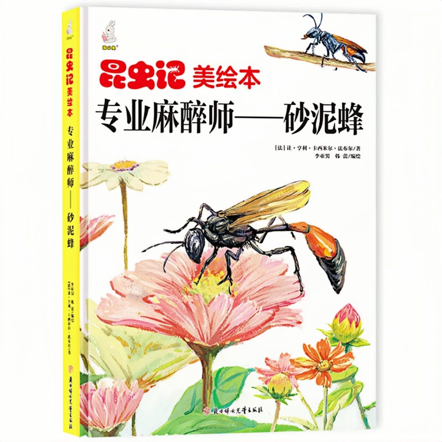 专业麻醉师-砂泥蜂精装硬壳绘本