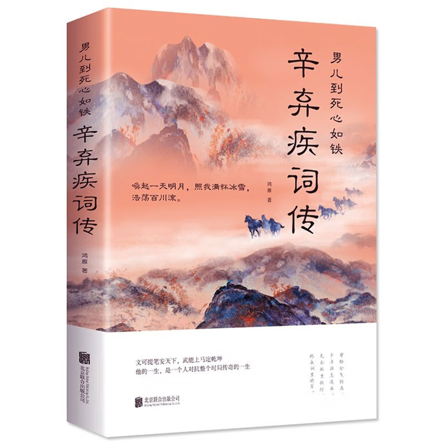 辛弃疾词传诗词歌曲文学文化书