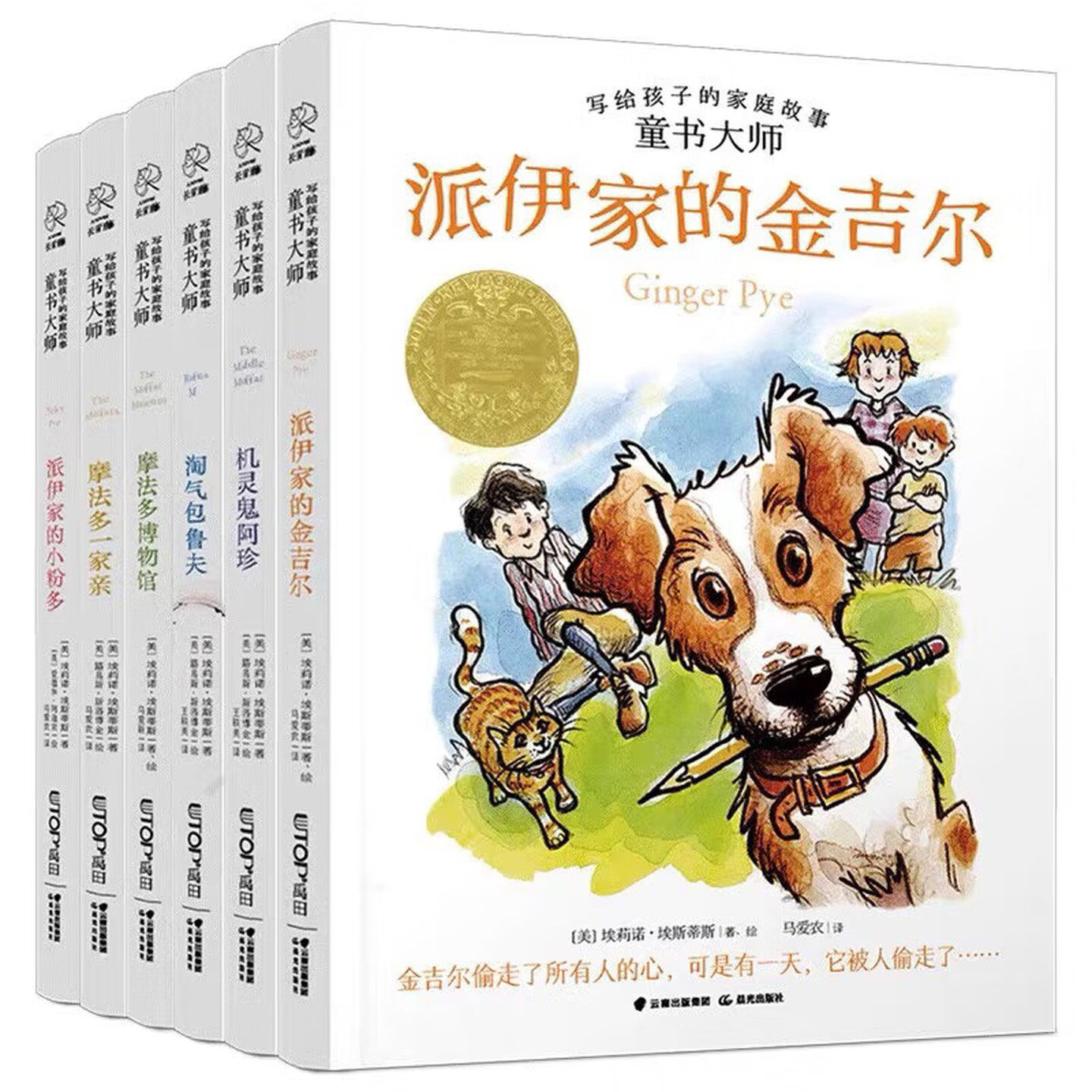 写给孩子的家庭故事童书大师图书