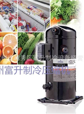 冷冻式干燥机用制冷压缩机-涡旋式制冷压缩机ZB56K4E-TWD-550