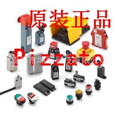 Pizzato开关 AN T9A108AZ-PN3 FS 3096E024-K21 NF B112KG-DM0.2