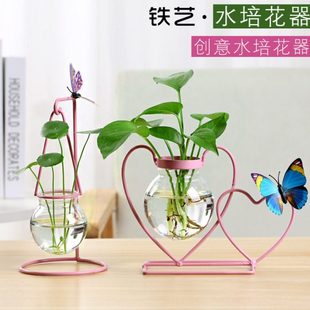 水培花瓶玻璃透明创意绿萝插花客厅摆件水养花插铁艺桌面装饰器皿