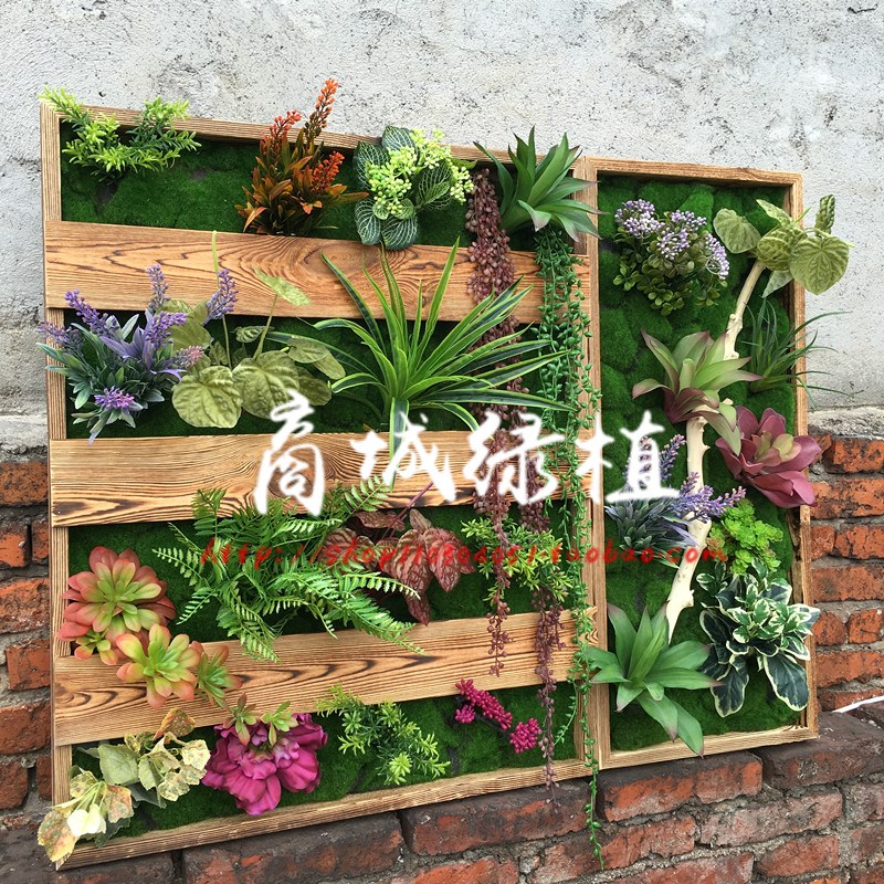 彷真绿色植物墙壁挂植物画框相框多肉植物蕨类背景墙墙面X壁挂件