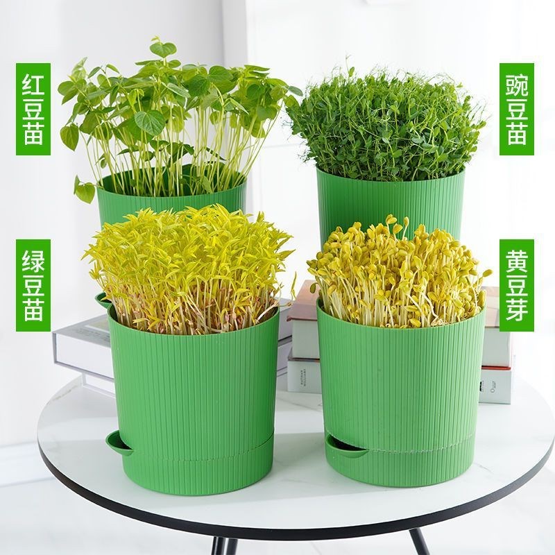 豆芽发芽盆豆芽罐家用生豆芽机无公害H发豆芽桶黄豆绿豆发芽盆神