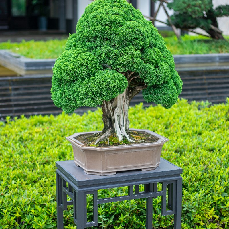 铝合金多层花架阳台户外多肉x落地式双层置物架花盆盆景架室内简